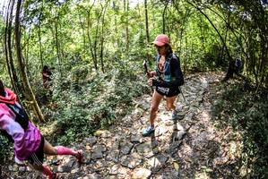 BIB: 
                            <button type="button" onclick="openModal(7023892)" class="btn btn-primary btn-sm float-right btn-popup" data-toggle="modal" data-target=".modal-high-quality">
                        <i class="fas fa-shopping-cart"></i> Add to Cart
                    </button>
                                            <button type="button" onclick="isThisMe(7023892, true)" class="btn btn-success btn-sm float-right btn-popup btn-isme hidden" data-toggle="tooltip" data-placement="bottom" title="นี่คือรูปของคุณใช่ไหม คลิกที่นี่เพื่อเอาเข้าอัลบั้ม">
                        <i class="fas fa-plus"></i> Add to album
                    </button>
                    <button type="button" onclick="isThisMe(7023892, false)" class="btn btn-warning btn-sm float-right btn-popup btn-isnotme hidden">
                        <i class="fas fa-ban"></i> Remove from album
                    </button>